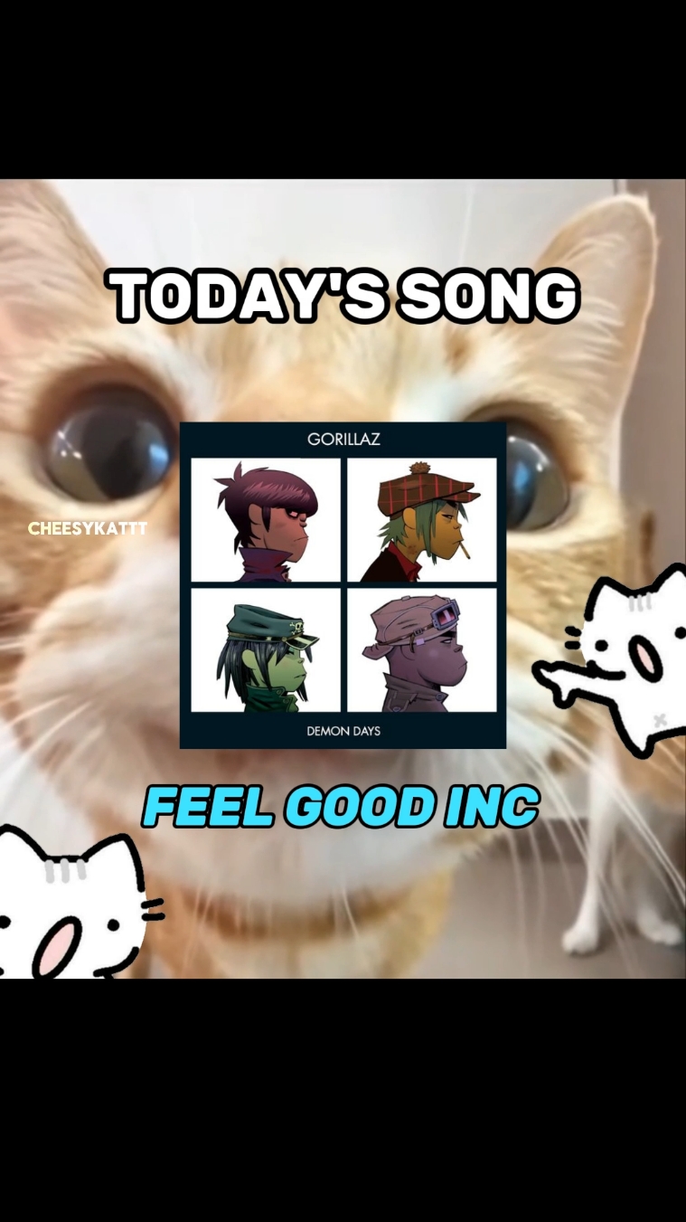 CAT FEEL GOOD 🗣🗣 . . #fyp #catsoftiktok #catlovers #kitten #gorillaz 