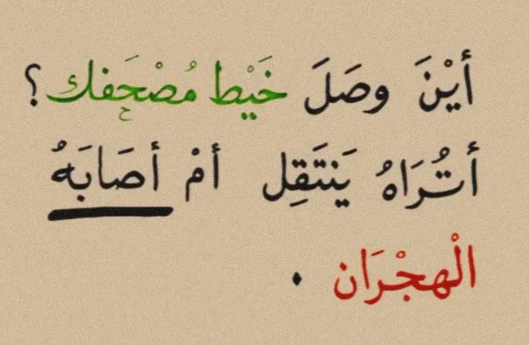 #بالقرآن_نحيا #قران #foryoupag 