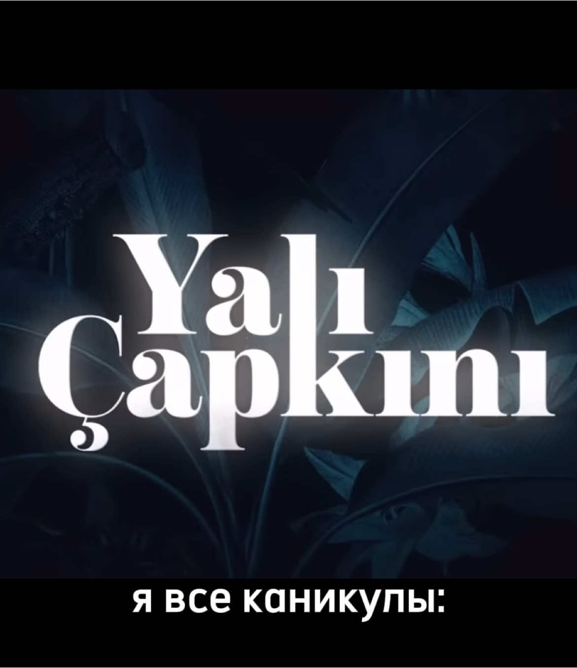 Если честно я уже хочу чтобы зимородок закрыли, там такой дурдом #зимородок  