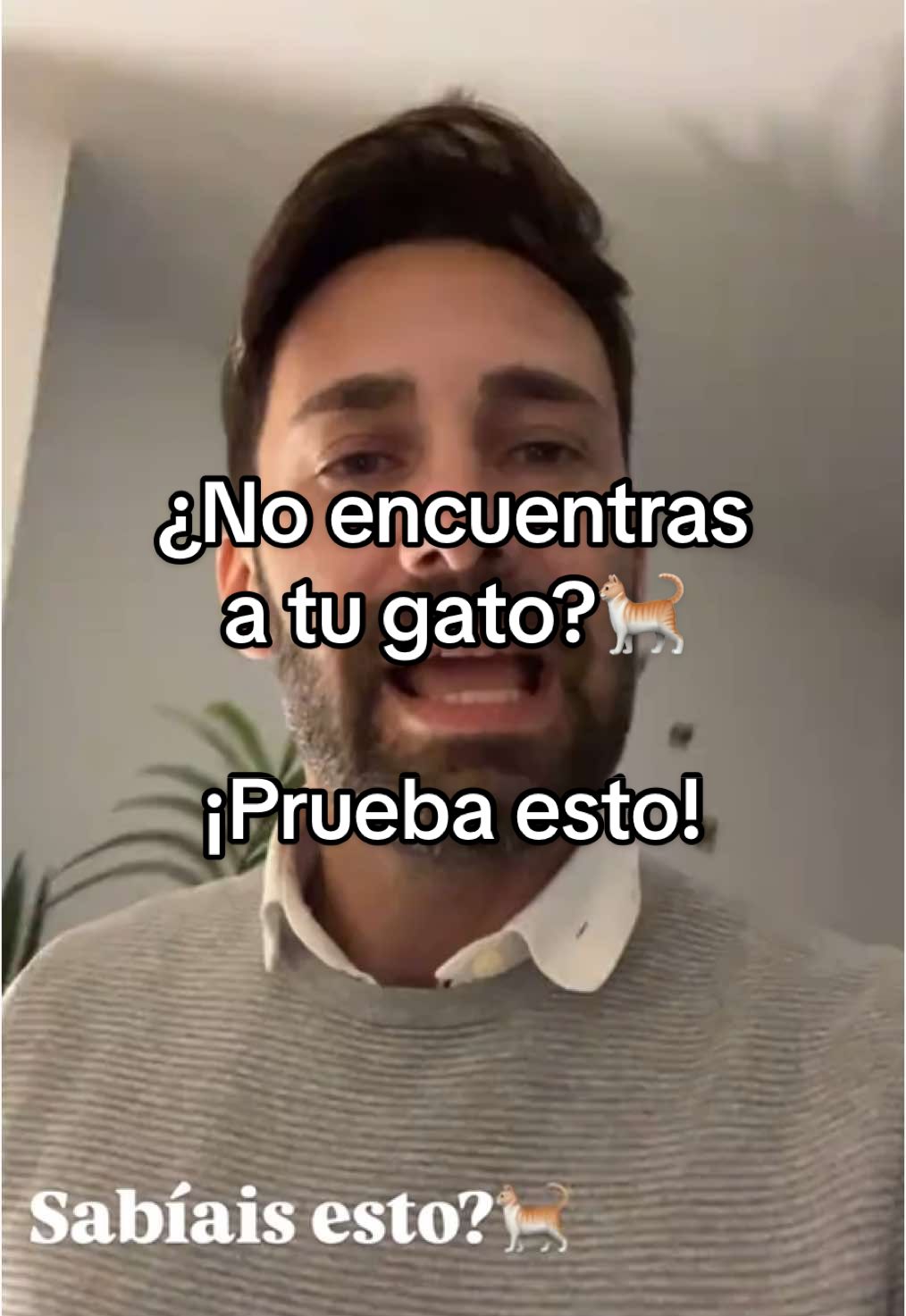 ¿No encuentras a tu gato?🐈 Dile esto a #alexa y tu #michi aparecerá en pocos segundos😏