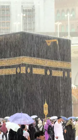 تلاوة للشيخ بدر التركي #امطار_الخير  في ليلة مطيرة في الحرم المكي، تتساقط قطرات المطر على الكعبة المشرفة، تضفي عليها بريقًا قدسيًا وجمالًا. تزداد القلوب خشوعًا وسط هذا المشهد الرائع، ويتناغم صوت المطر مع تلاوة القرآن والأذان. تزداد الكعبة تألقًا تحت قطرات المطر، وكأنها جوهرة تضيء في سماء مكة. 🌧️🕋