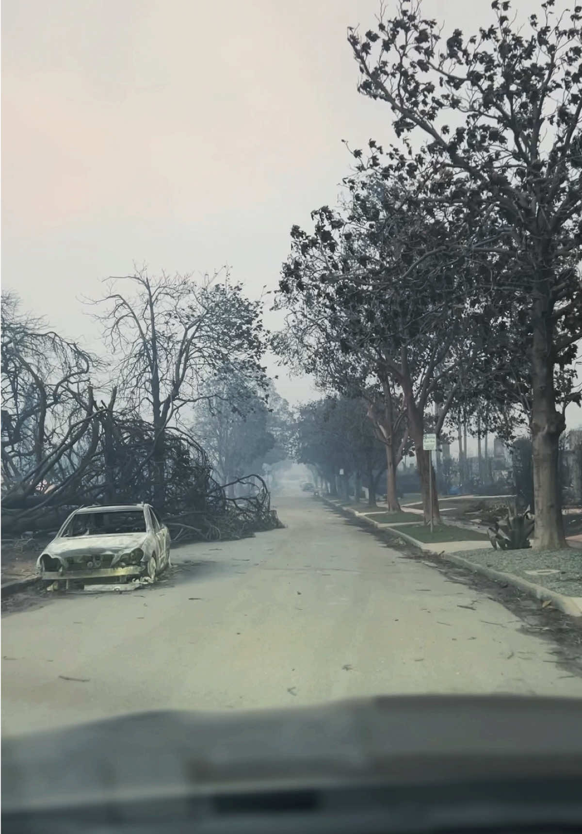 This is my neighborhood—everything is gone. Homes, memories, and the life we built here have been reduced to ashes. It’s heartbreaking to see the place I’ve always known completely destroyed, with nothing left but ruins.#pacificpalisades #wildfire #california #news #naturaldisaster #fire @NBCLA @ABC7LA @KTLA5 Los Angeles 