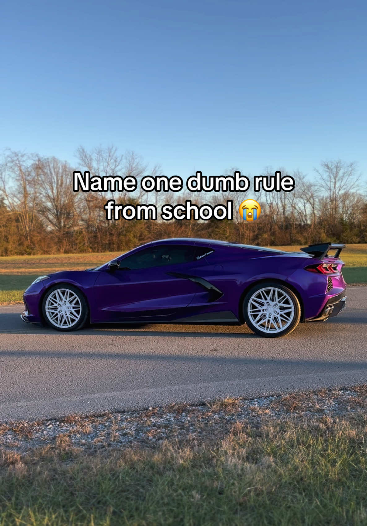 name one #fyp #relatable #carsoftiktok #corvette 