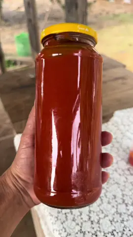 “🍅✨ Que tal um ketchup caseiro, saudável e delicioso feito com tomatinhos fresquinhos aqui da roça? 🌿 Feito com amor e ingredientes naturais, essa receita é perfeita para quem quer sabor e saúde no mesmo potinho! 💚 Confira o passo a passo #KetchupCaseiro #ReceitasSaudáveis #ComidaDeVerdade #ReceitasNaturais #TomatesFrescos #FeitoEmCasa #CulináriaSaudável #ComidaDaRoça #AlimentaçãoSaudável #vidanaroça