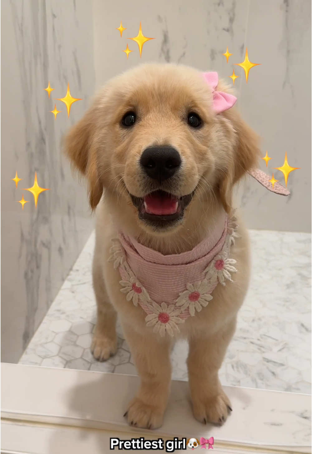 Lily’s firth bath was quite eventful🐶🛁🎀 #puppy #goldenretrieverpuppy #cutepuppy #dogsoftiktok 