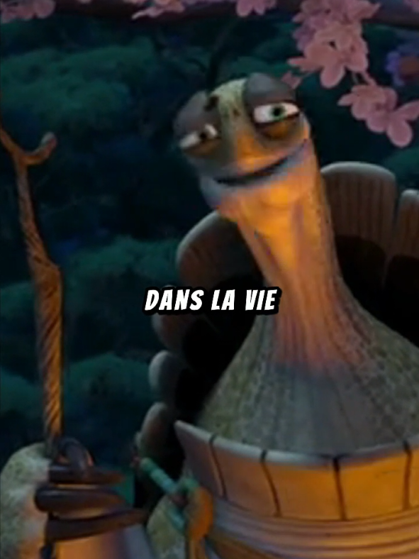 Réponse à @user31014210975775N'oublie jamais ce conseil... #citation #inspiration #motivation #conseil #oogway 