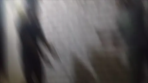 #الف مبروك على الخطوبه عقبال الليله الكبيره ان شاء الله فرحه اخويا السفاح ❤️‍🔥🖐️😉