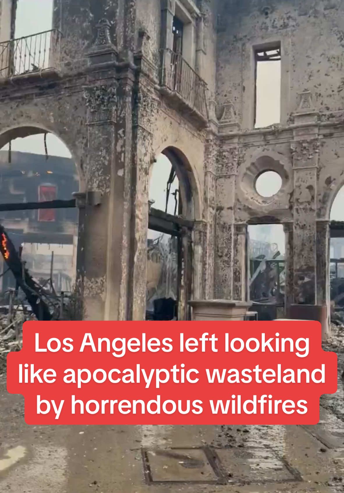 Los Angeles left looking like apocalyptic wasteland by horrendous wildfires #fyp #dailymirror #breakingnews 