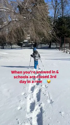 #snowfun #snowstorm #snowedin #noschool #sledding #winter #mylife #homeschoollife 