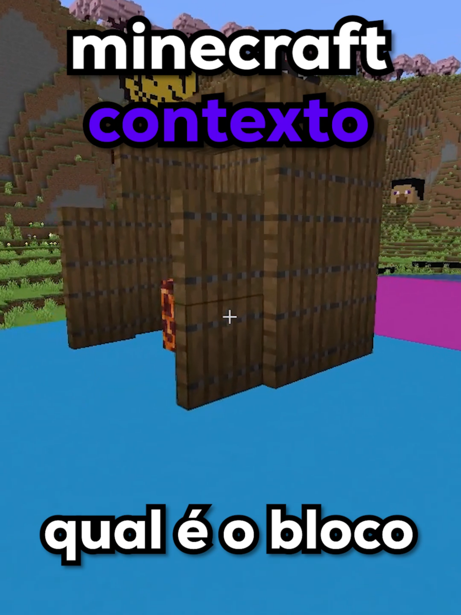 CONTEXTO no MINECRAFT! @nextfox_ @doover___ @guaxizim @sou_fioof #Minecraft #fyp