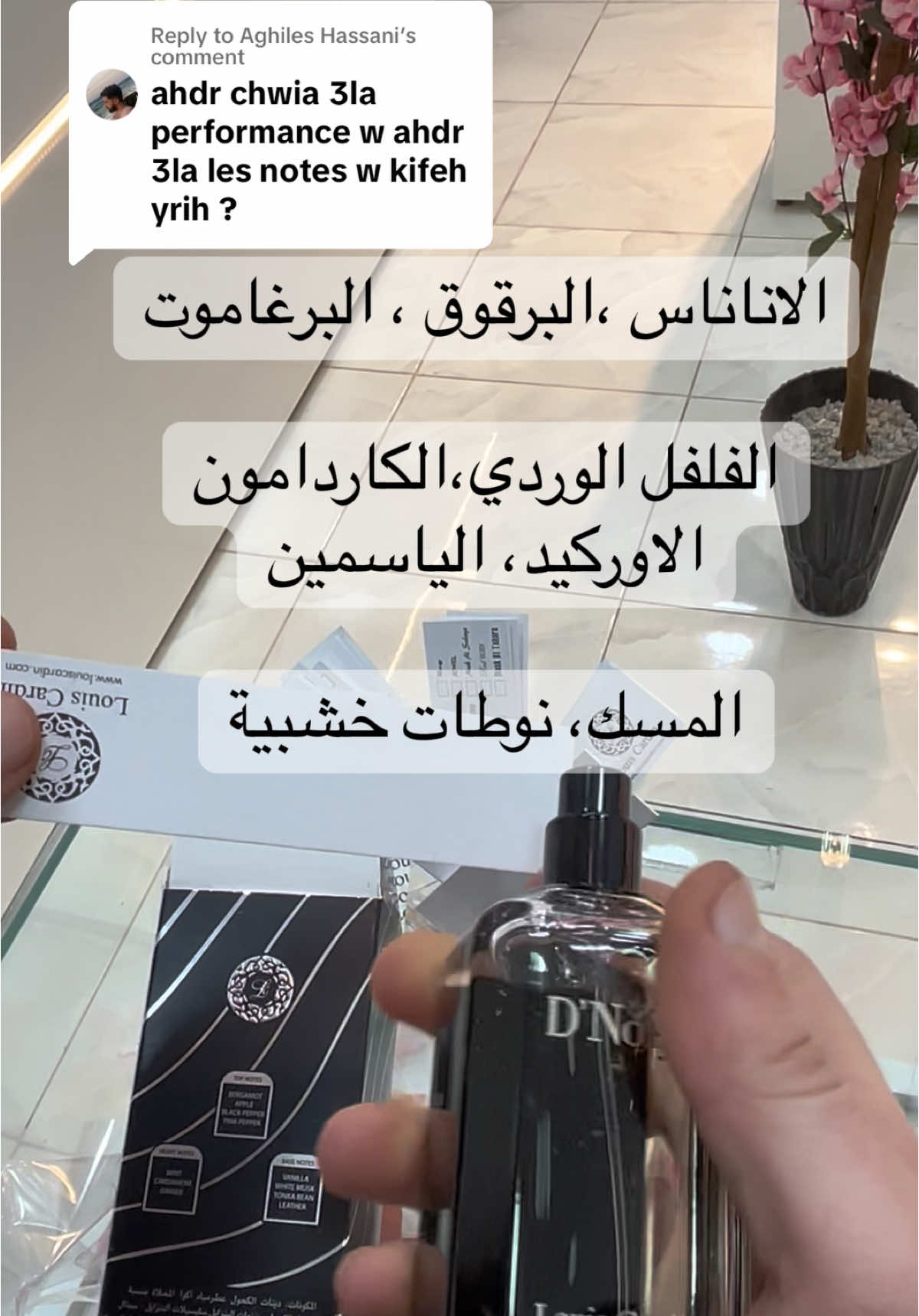 Replying to @Aghiles Hassani عطر ماشي ساهل ريحة واعرة #عطور_فيمونت #kxrimlive #louiscardin #parfumviral #افخم_العطور #عطر_جورجينا 