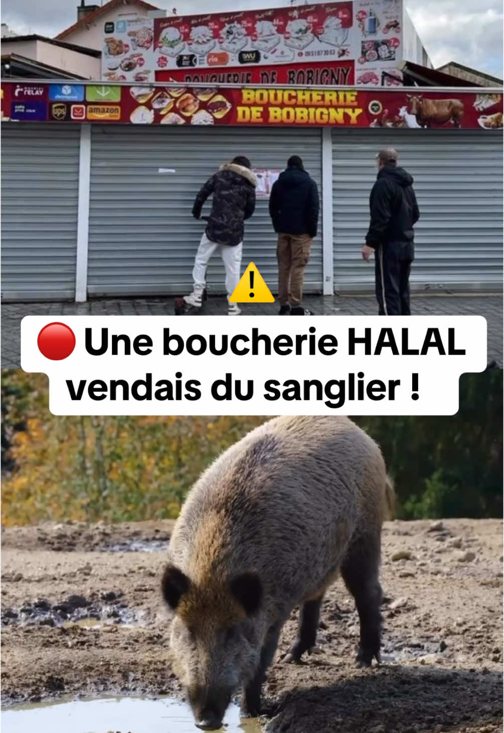 #actu #news #actualite #halal #musulman #information #socialnews 