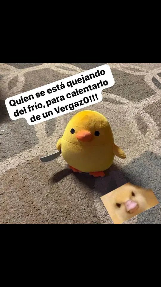 ☃️ 🥶 🐥😾 #paratiiiiiiiiiiiiiiiiiiiiiiiiiiiiiii #paratiii #flypシ #fyp #frioooooooo🥶🥶🥶🥶🥶 #monterrey #frio #nevada #frias #frio2025🥶🥶🥶 