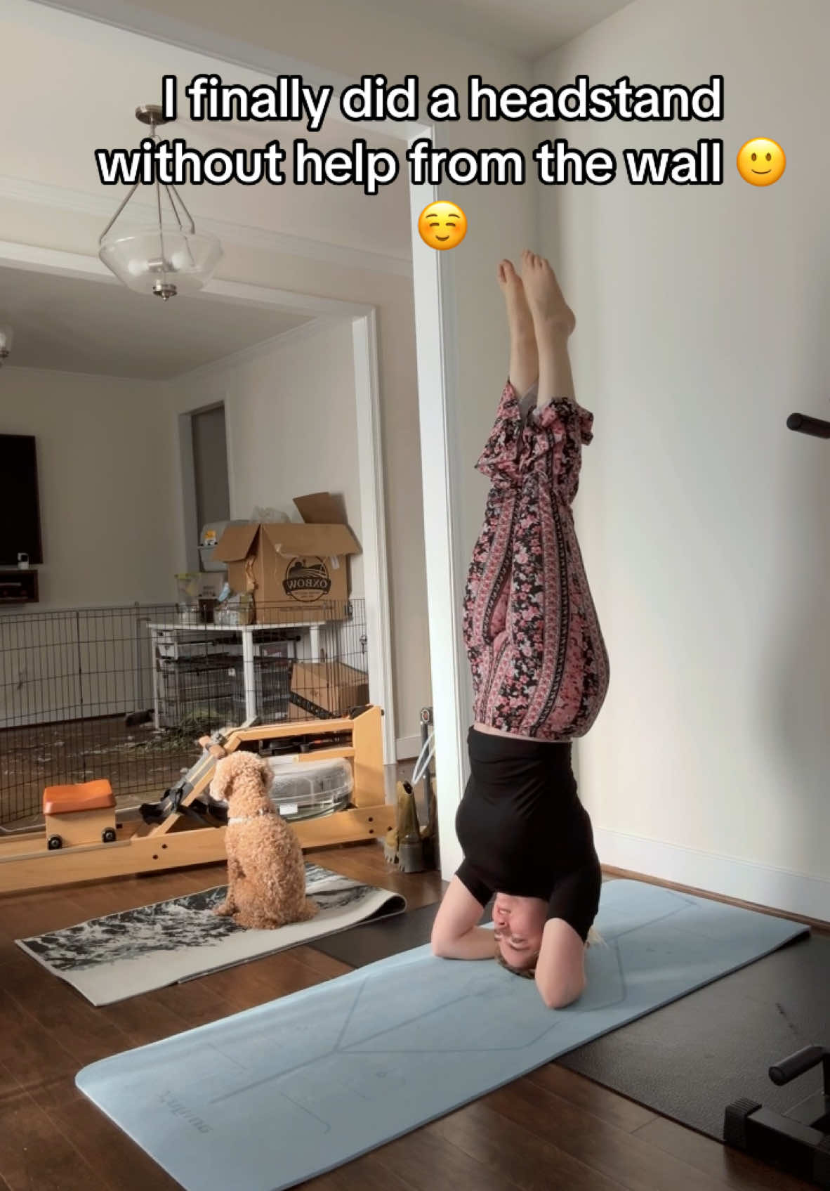 I finally did a headstand! I am so proud 