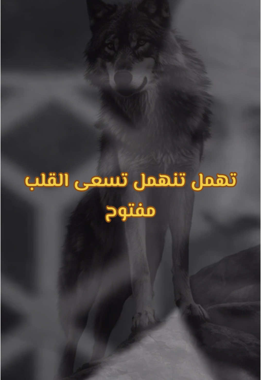 تهمل تنهمل تسعى القلب مفتوح #شعر_شعبي  #اكسبلورexplore  #fyp  #foryou  #شعر_عراقي_حزين💔😢  #الشعب_الصيني_ماله_حل 