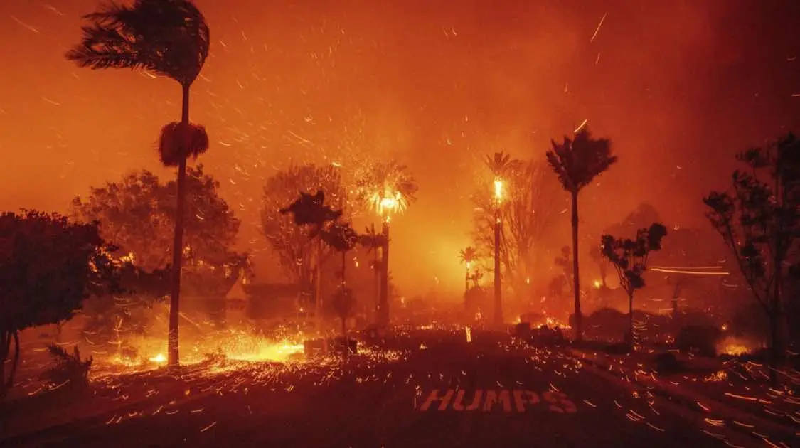 Massive forest fire has invaded California. #california #californiawildfire #southerncalifornia #losangeles #Palisadeswildfire #californiawildfires #californiafires #wildfires #cali #californiafires #wildfires #losangeles 