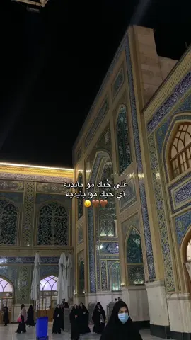 السلام على امير المؤمنين🤎 #النجف_الأشرف #explore #fyp #العراق #viral #الامام_علي_بن_أبي_طالب_؏💙🔥 