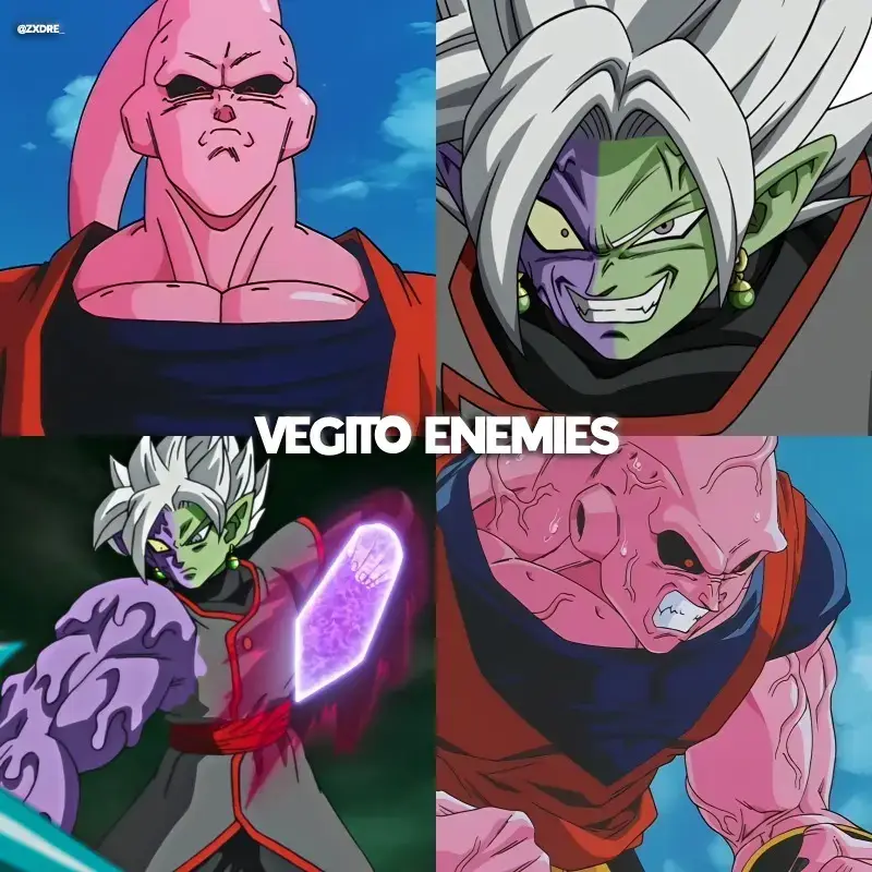 #dbz #dbs #dragonball #goku #vegeta #gogeta #vegito #broly #majinbuu #janemba #zamasu #villain #edit #fyp #viralvideos 