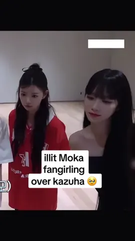Being the pretty senior juniors fangirling, kazuha came a long way! Proud of her🥹😭 #kazuha #kazuhalesserafim #lesserafimkazuha #lesserafim #mokaillit #nakamurakazuha #fypkpop #fearnotlesserafim 