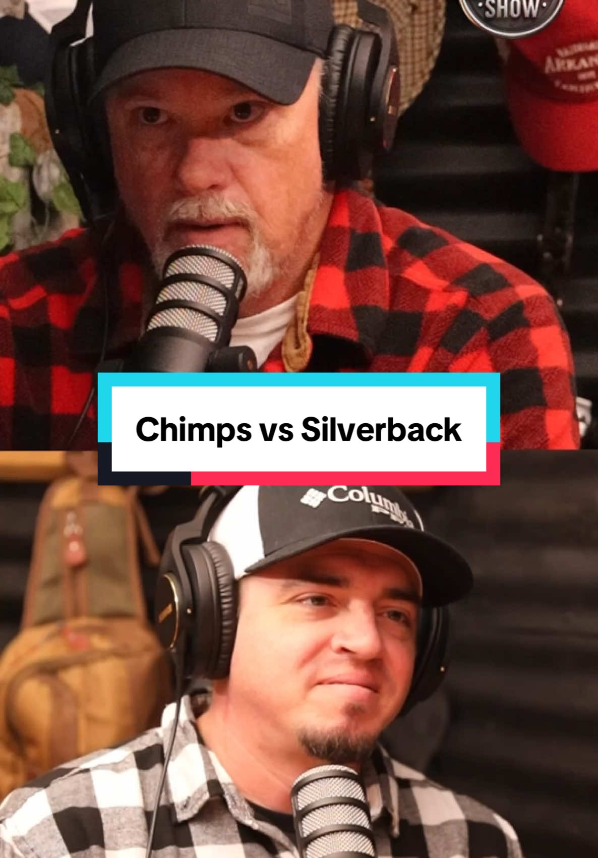 How many Chimps would it take to bring down a Big Silverback Gorilla? #chimpanzee #vs #silverback #gorilla #chimp #battle #1v1 #guess #podcastclips #animalsoftiktok #podcastshow 