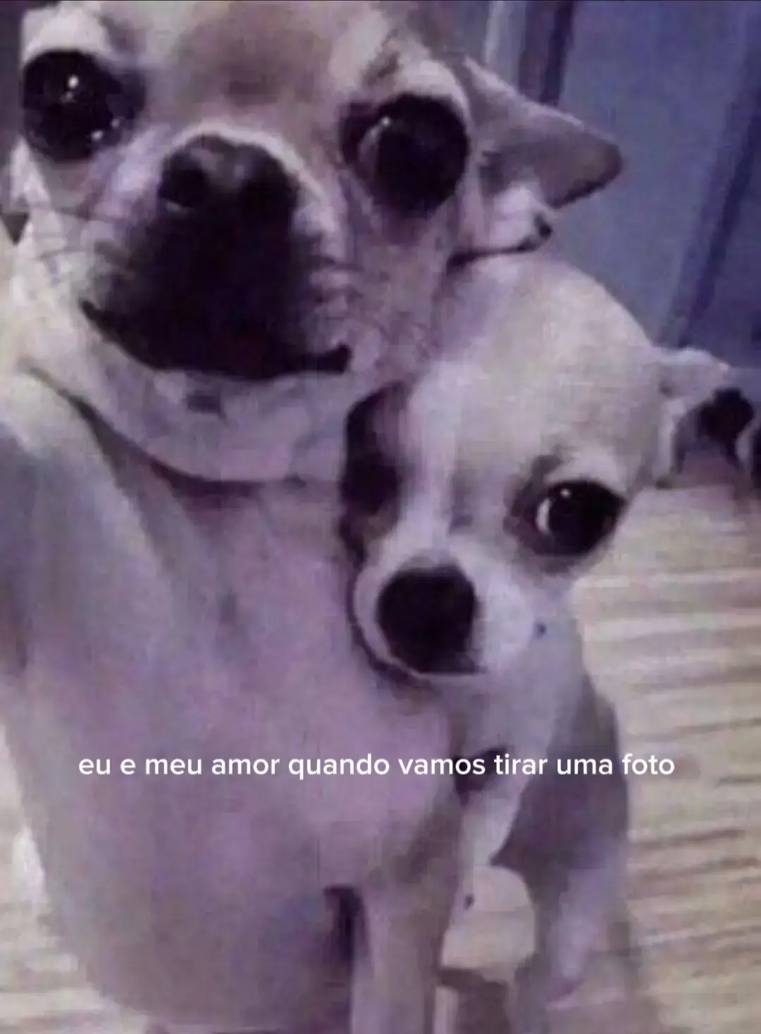 saudades do meu homi #foryou #foryoupage #fypage #meme #viral #fyyyyyyyyyyyyyyyyyyy 