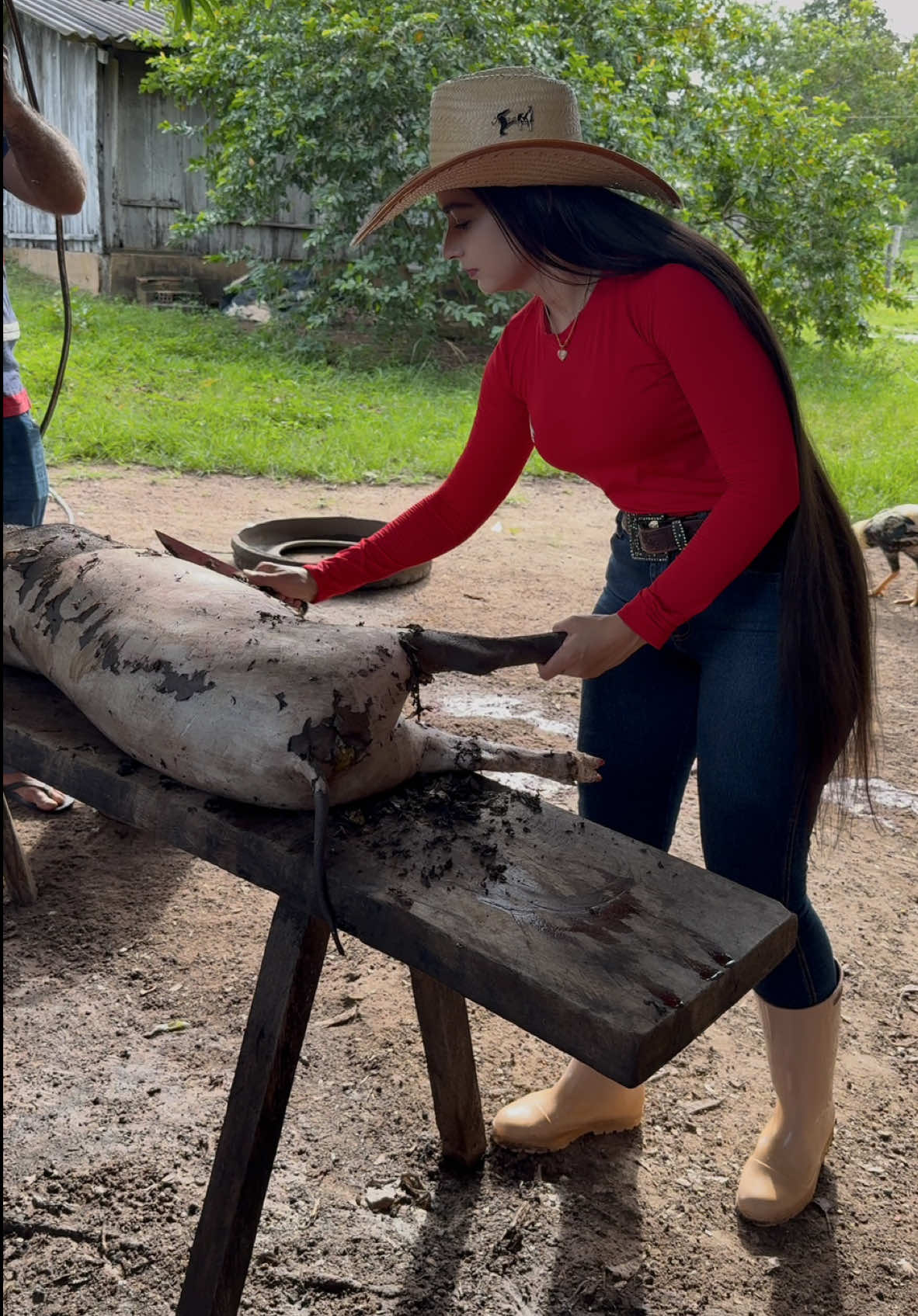 Porco caipira🐽 . #roca #roça #porco #caipira #mulher #mato #rancho #ranchohumilde #familia #simplicidade #vidanaroca #simples #vidaqueamo #lugarlindo #natureza #cabelao #cabelogrande #fogo #cowgirl #chapeu #bota #terra #galinha 