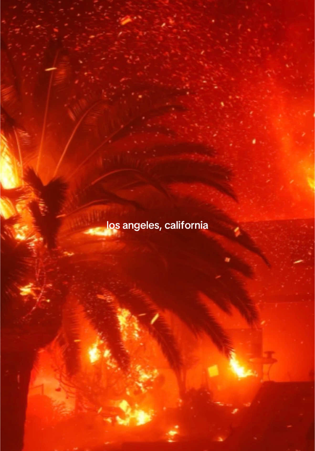 “the city of angels in burning” #losangeles #palisades #palisadesfire #wildfire #nature #fire #animal #climatechange #hollywood #california #travel #tylerthecreator #chromakopia #likehim #music #nature #environment #fyp