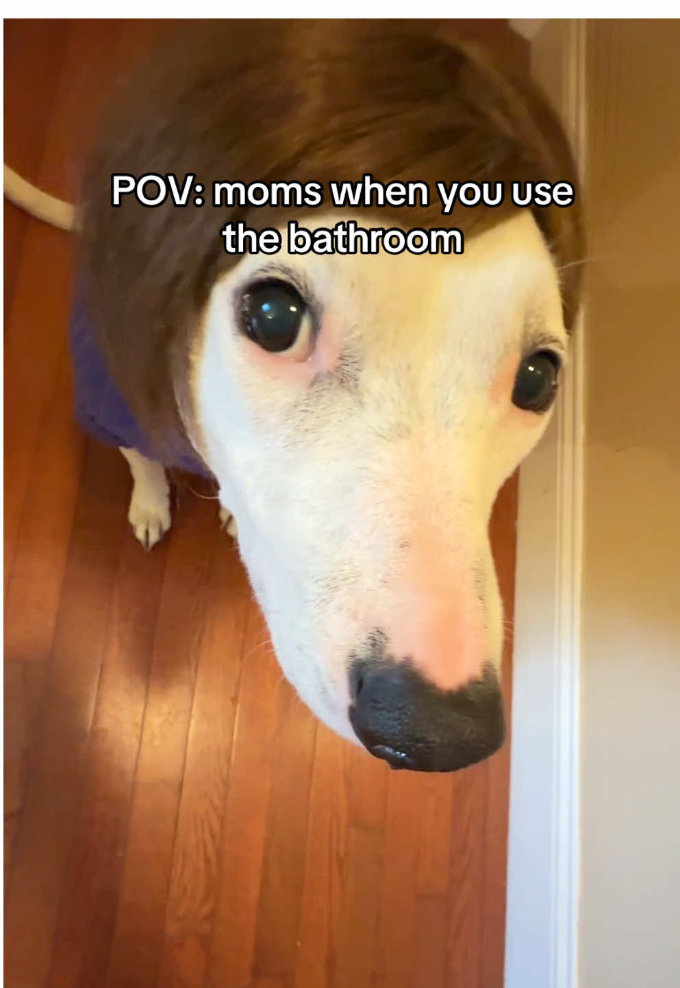 Let me potty pls mother 