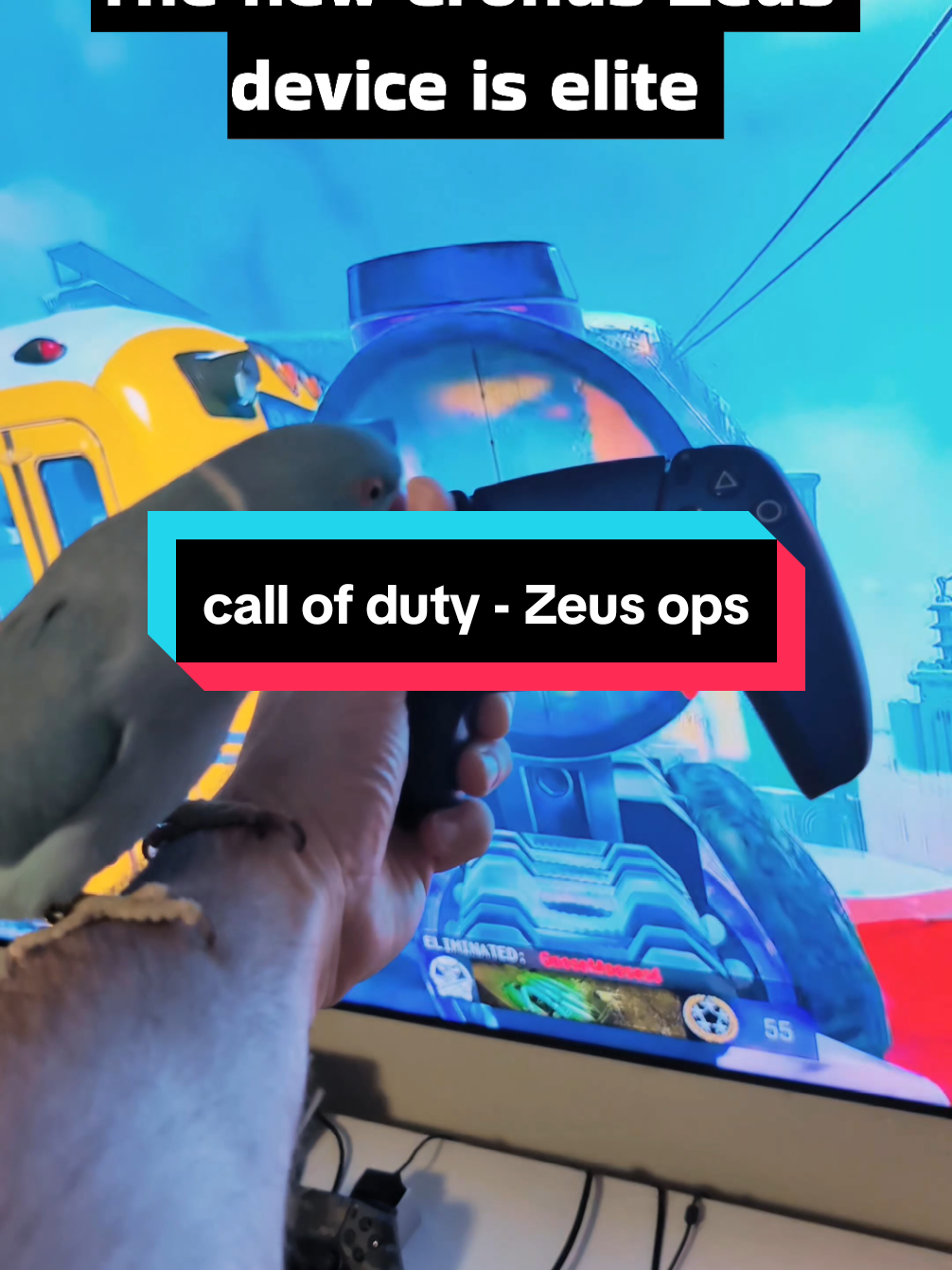 Zeus kicking ass in call of duty black ops 6 #cod #gaming #callofdutyblackops #codblackops6 #warzone #bird #parrot #bluebird #talkingparrot #talkingbird #birdtok #indianringneck #birdvideos #birdsoftiktok #cutebird #blackops6 #cronus #cronuszen 