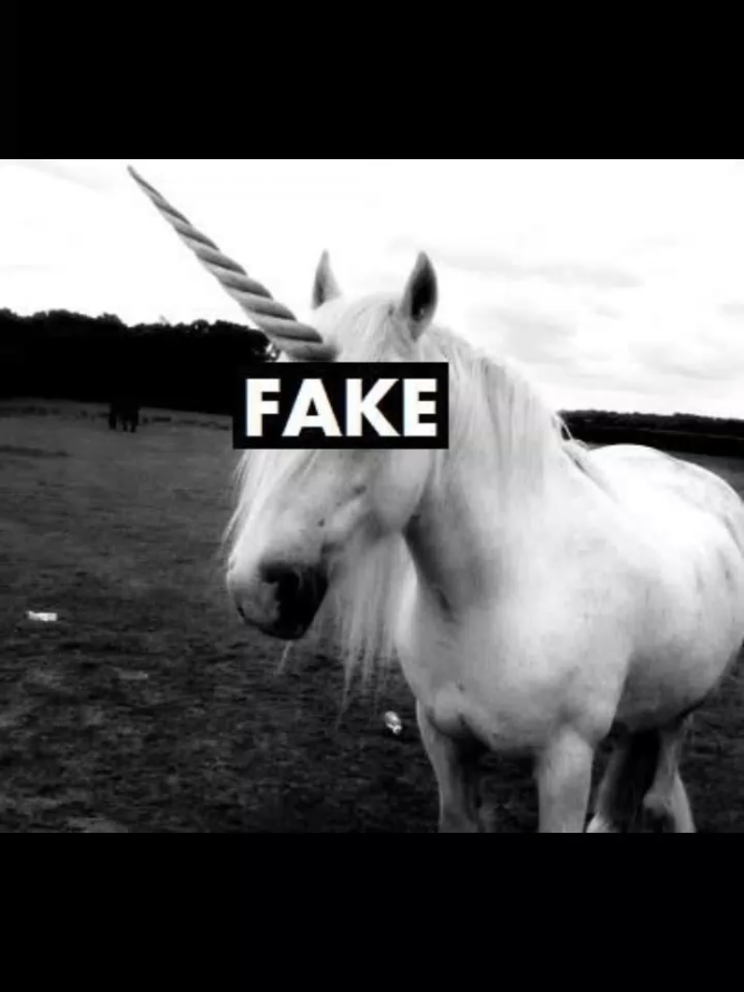 #unicorns #tumblr #goodvibes #aesthetic #2014 #beautiful #cute #2015vibes #unicornreal #youtube #fypシ゚ #foryouuu #foryouuuu #viraaal #fyppppppppppppppppppppppp #foryouuuuuuuuuuuuu #viral #fypviral #2014 #beautiful 