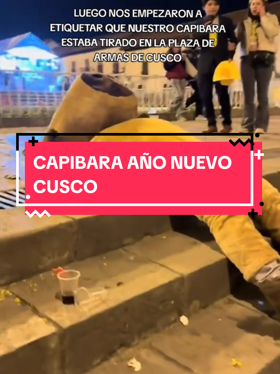 cusco, Perú 🇵🇪, Sabes que estuvo buena la fiesta de año nuevo en cusco, cuando encuentras al capibara tirado en el suelo en año nuevo cusco #capibara #añonuevo #cusco #añonuevocu #felizaño #cusco2025 #capibarismo #año2025