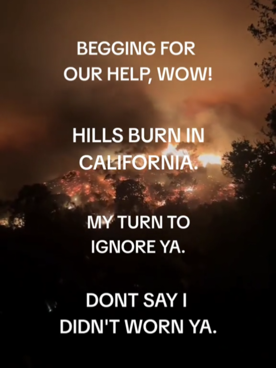 she said it. *warn #palisadesfire #california #californiafires #fyp #atgggth #billieeilish 