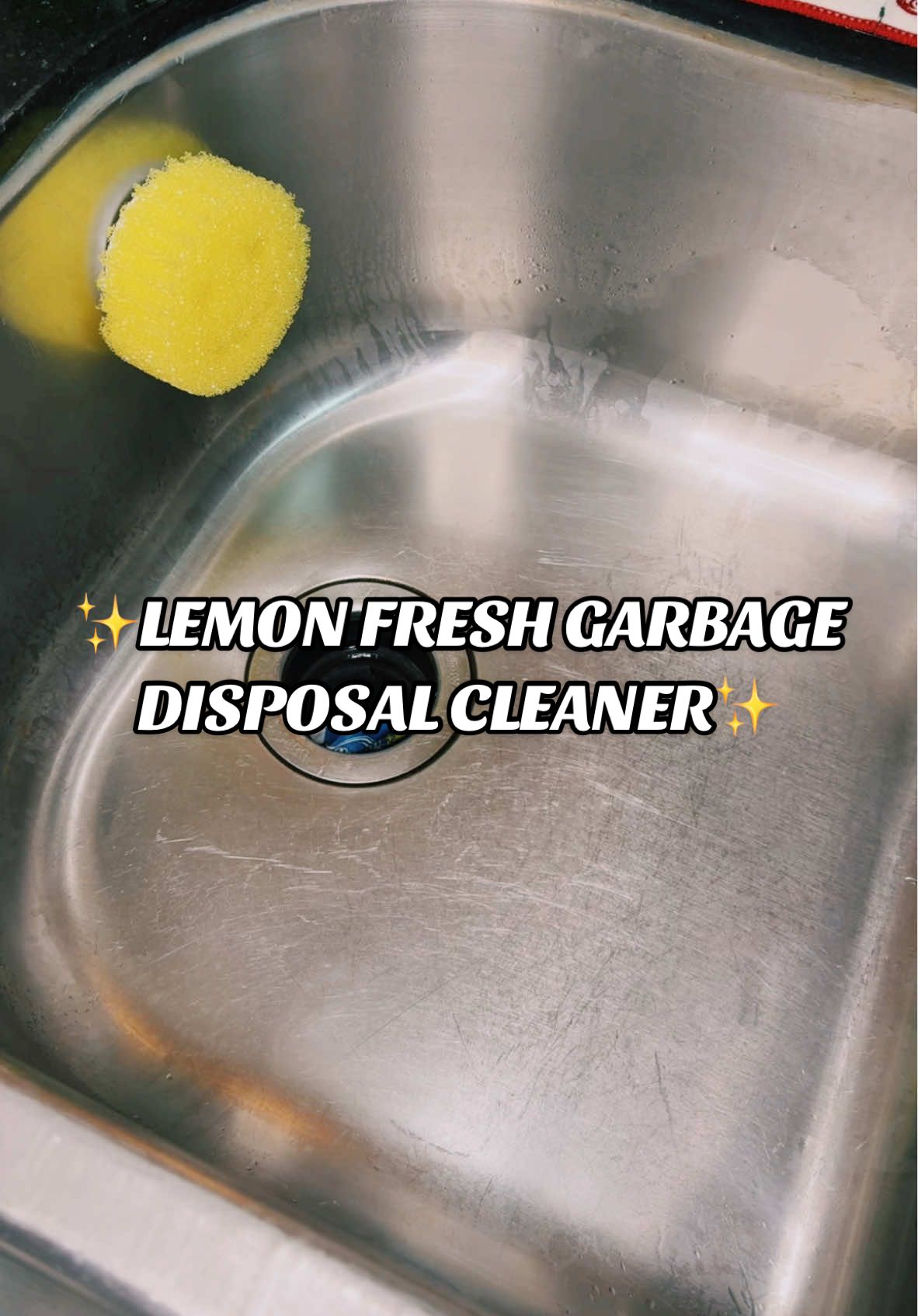 Love this part! 🍋 • • #garbagedisposal #garbagedisposalcleaninghack #cleaninghacks #cleaninghack #lemonfresh #homeimprovement #homethings #fyp #trending #tiktokshop #tiktokpartner #contentcreator 