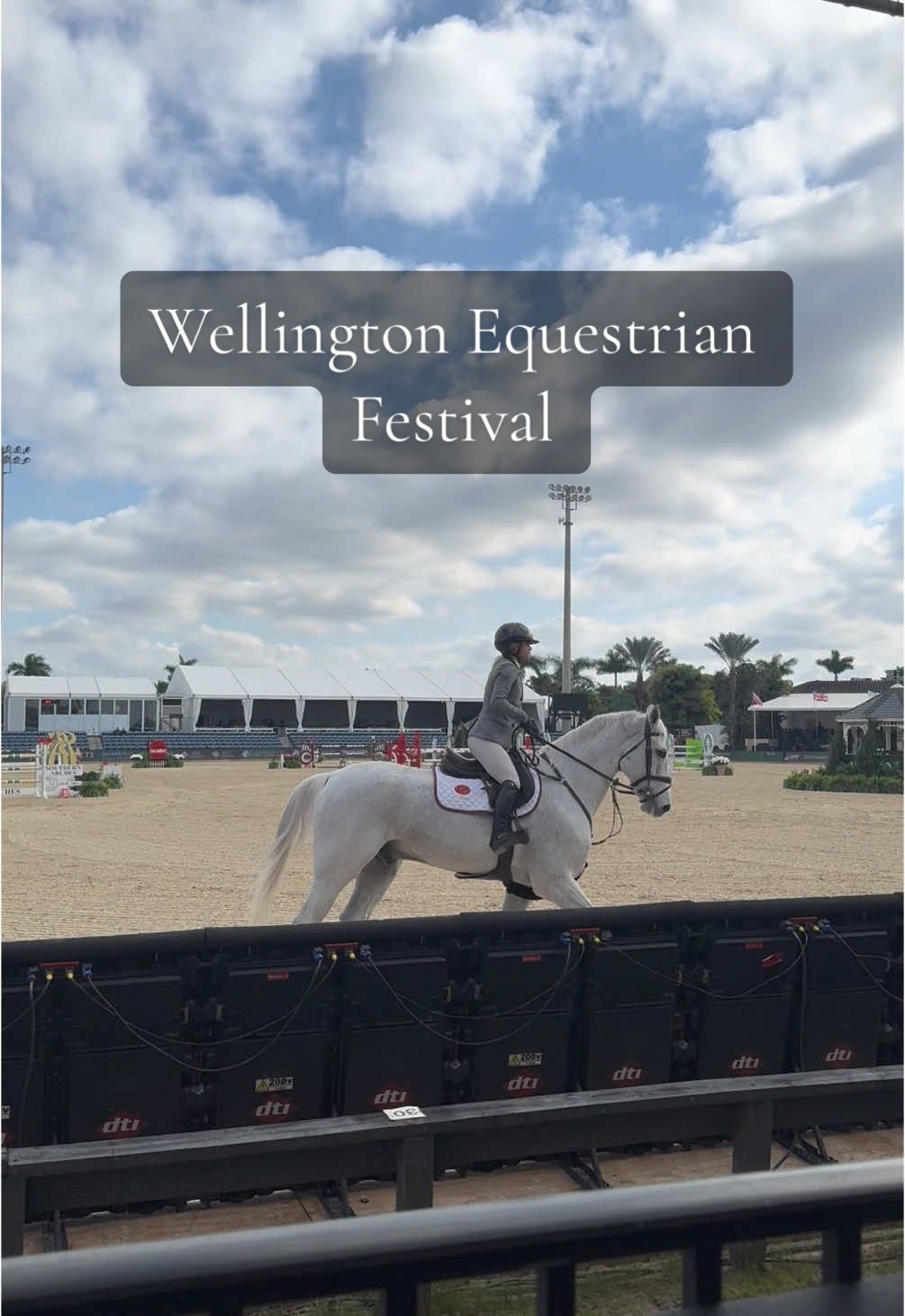 Love this life #wellington #palmbeach #equestrian #travel 