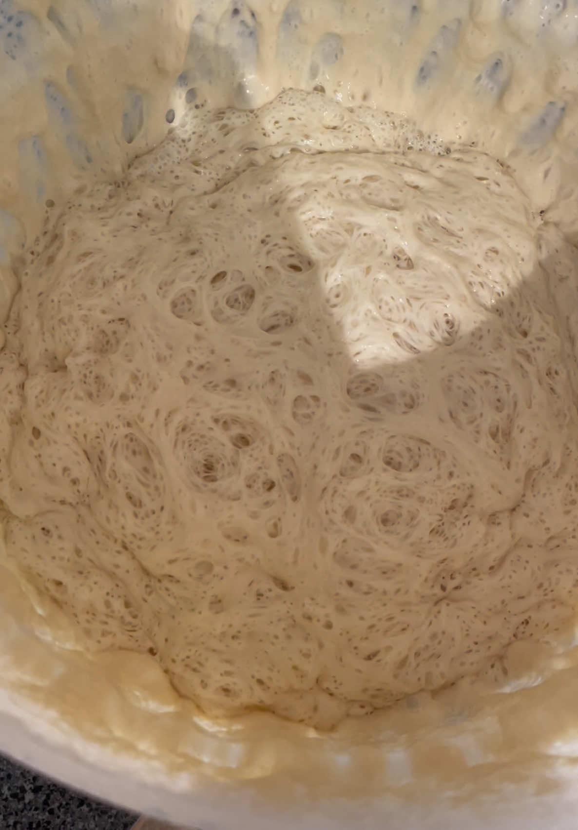 this sourdough starter is so aliveeeee 😮 (credit: @topknot)