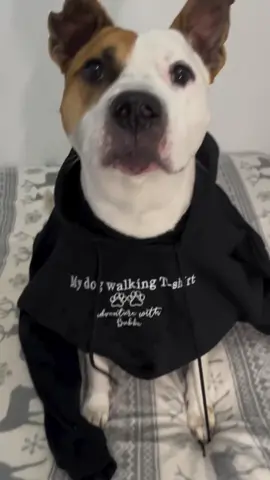 Got my own personalized Christmas ornament, and Momma got a special hoodie with my name on it to wear on all our adventures!!! ❤️#personalizedgifts #petlover #furryfriends #dogsoftiktok #DIY #thoughtfulgifts