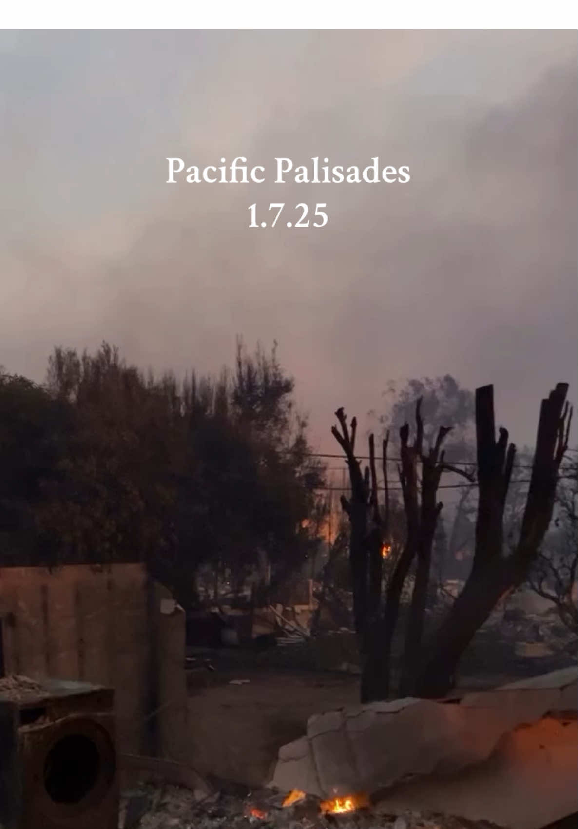 2025 chose violence #lafire #pasadenafire #pacificpalisades #santamonicafire #smfire #malibufire #california #losangeles #downtownpacificpalisade #pacificpalisadesvillage #pacificpalisade 