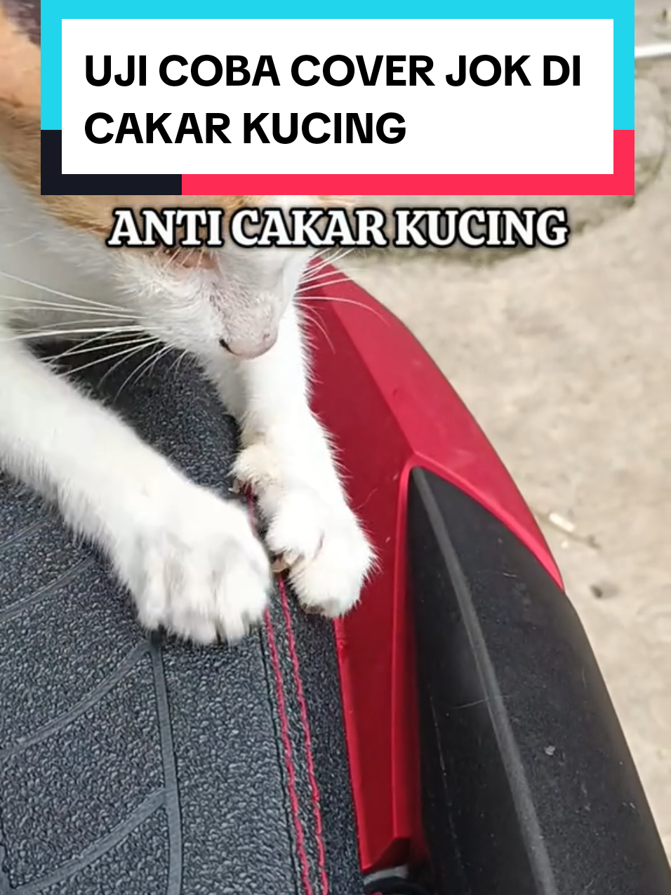 rekomendasi cover jok ataw sarung jok embs anti licin anti cakar kucing #sarungjokmotor #coverjok #vario125 