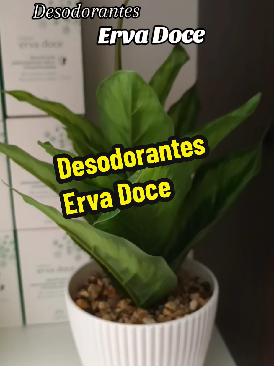 Desodorante Erva Doce Tu mejor aliado para este verano #ervadoce #desodorantes #sudor #antitranspirante #productosnatura #naturaperu 