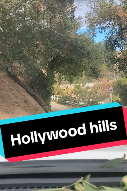 To give you a better idea of what it’s like in the Hollywood Hills… This was my drive down yesterday on Kirkwood.  #hollywoodhills #HollywoodHillsFire #HollywoodIsOnFire #LosAngelesFire #C#CaliforniaFires2025L#LAFires2025LAFire25 #HollywoodHillsOnFire #Kirkwood #EvacuationZone #fyp #DriveDownWithMe #PrayForSafety @KTLA5NEWS  @KCAL News @ABC7LA  