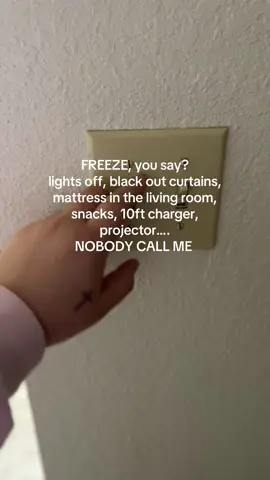 i will not be available until the temperature is back in the 50s. Thank you in advance. #freeze #texas #texasfreeze #fyp #fypシ #fypシ゚viral #fypage #homebody #dnd #softgirtera #projector 