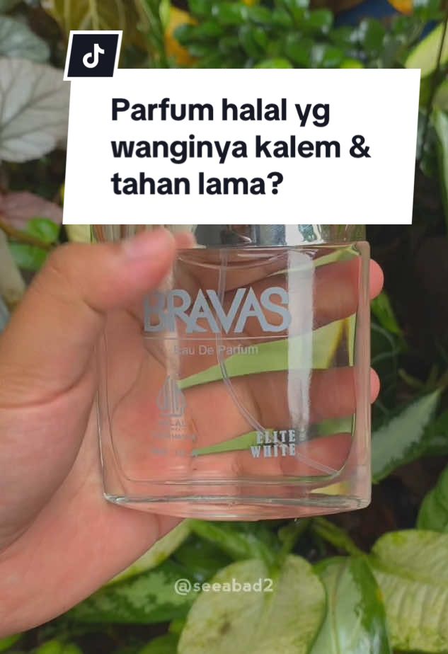 wanginya kalem lembut & tahan lama ✨ #parfumhalal #parfumbravas #parfumviral #parfumsholat #parfumhalalbpom #parfumwangi #parfumtahanlama 