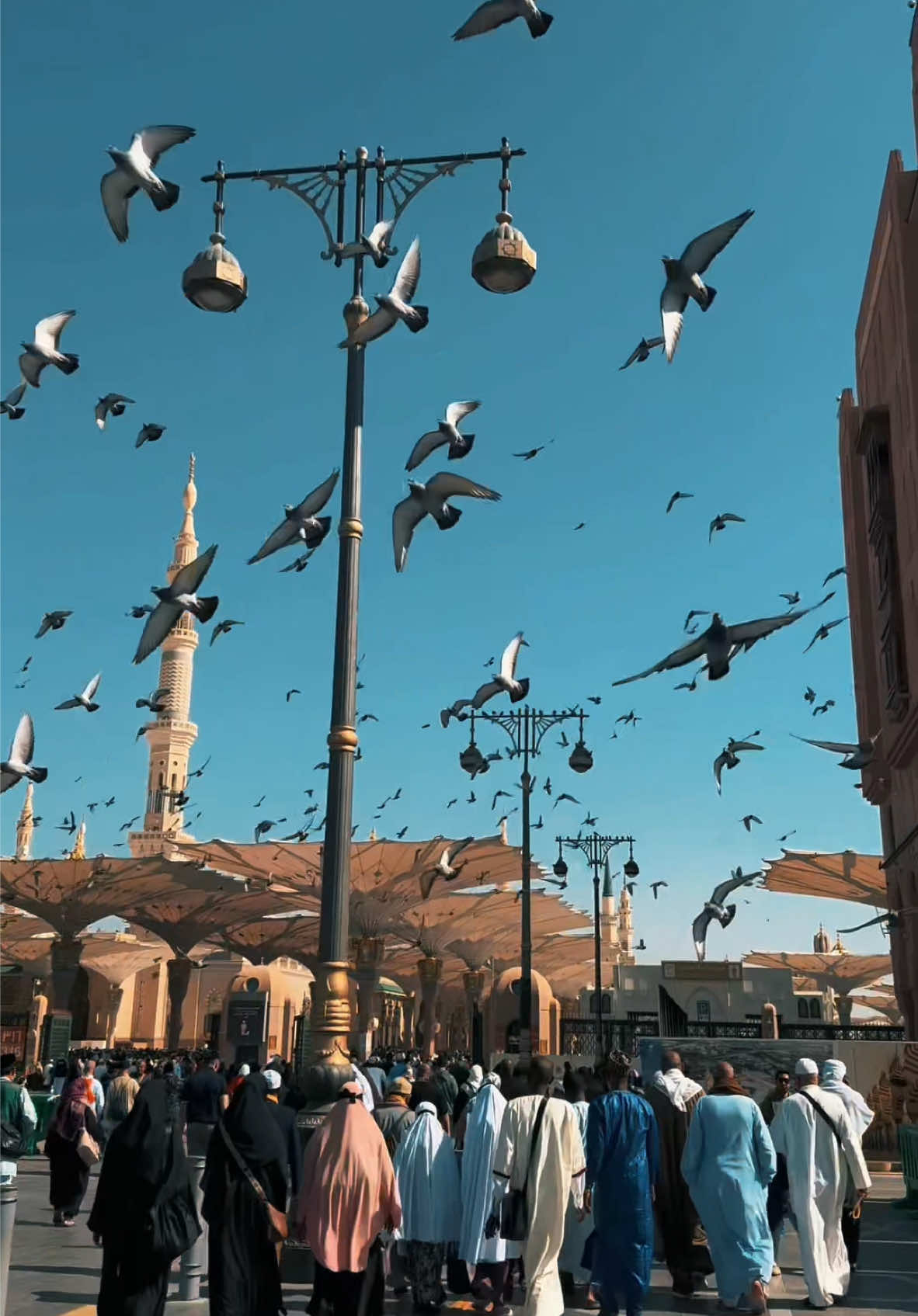 Masjidil Nabawi Cinematic ✨ Madinah, kota suci yang penuh dengan ketenangan, keberkatan, dan cinta kepada Rasulullah. Di sinilah terletaknya Masjidil Nabawi, tempat yang paling mulia selepas Masjidil Haram. Sungguh tenang di sini, seolah-olah segala kesibukan dunia terhenti. Setiap sudut Madinah menyimpan keindahan dan kenangan yang mendalam, dari keharuman Raudhah hingga ketenangan di sekitar makam Rasulullah. Saya berdoa agar semua yang merindui kota ini diberi peluang untuk menziarahinya dan merasai kedamaiannya. Semoga Allah terus memberi kita kesempatan untuk kembali ke sini suatu hari nanti, insyaAllah. #umrah #Umrah2025 #madinah 