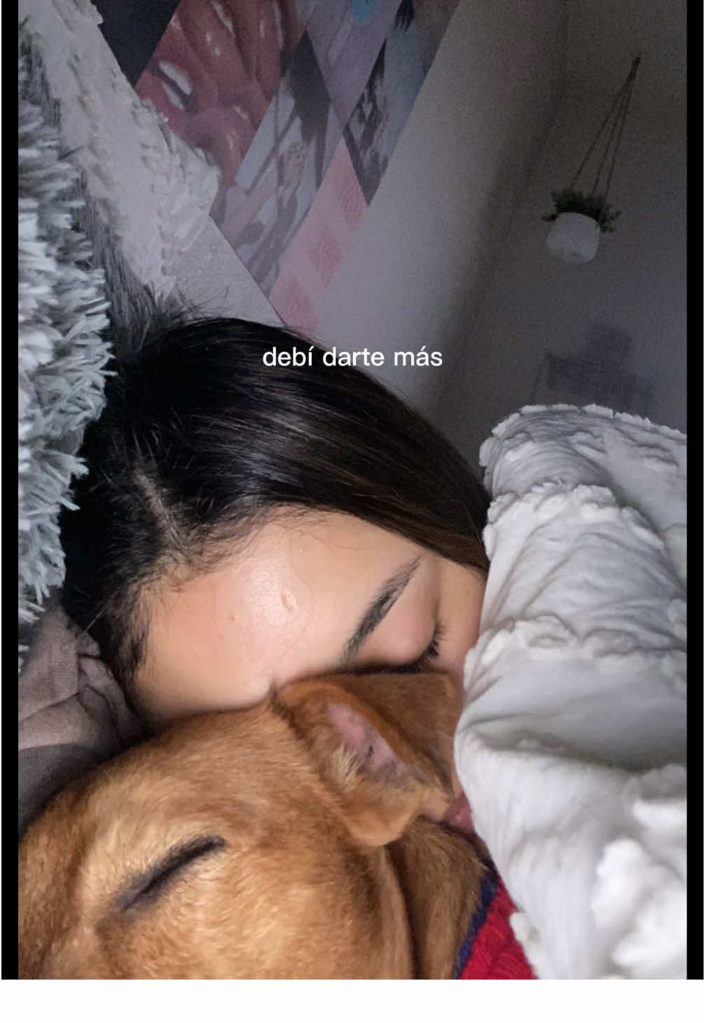 this trend has me sobbing 🥹 miss my lil bestie 👼 #fyp#capcut#badbunny# #CapCut#fotos#trending#dogsoftiktok#parati#badbunnyedits#dtmf 