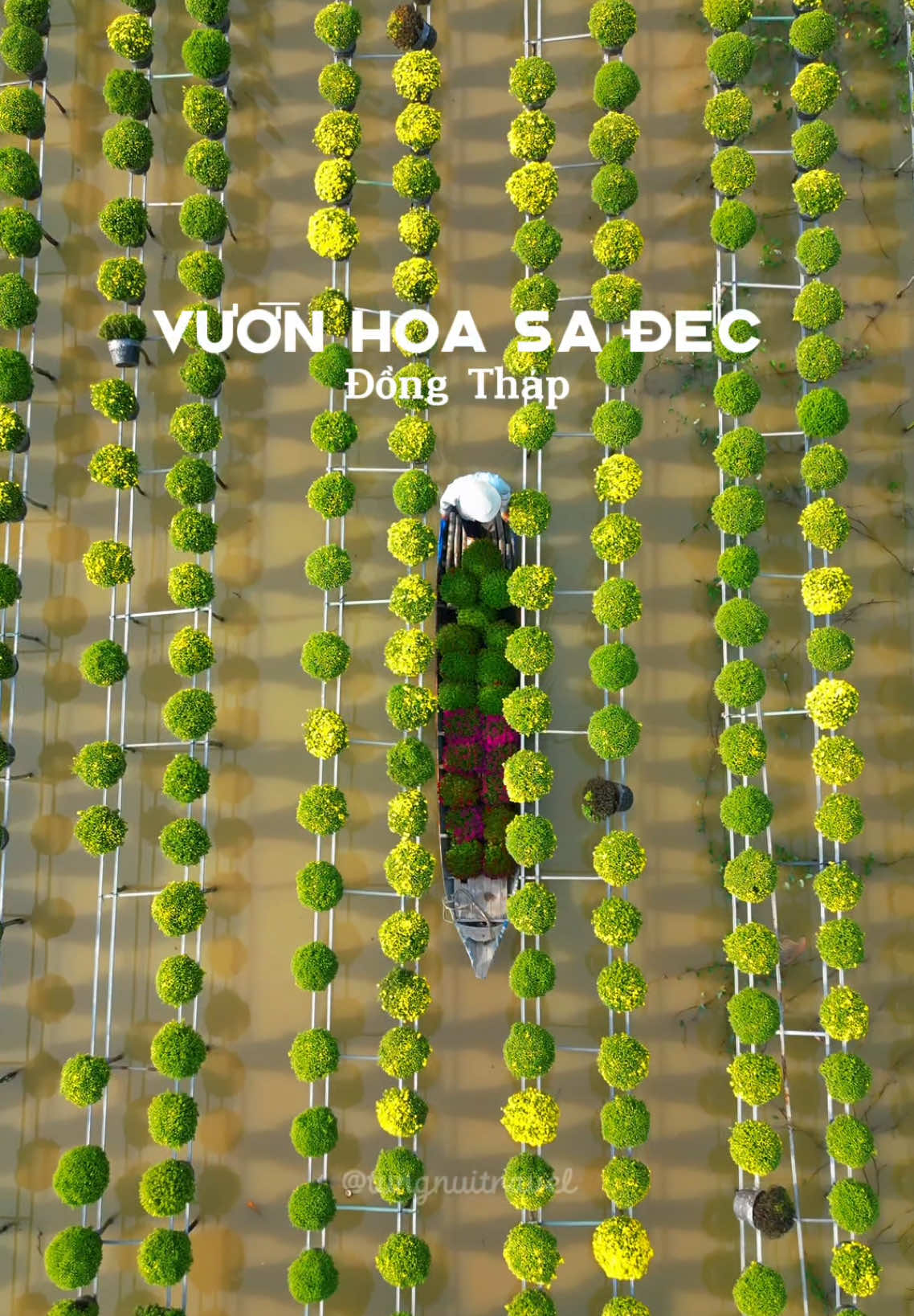 Khunng cảnh Sa Đéc những ngày gần tết đẹp cỡ này luôn #travel #traveltiktok #dulichvietnam #travelvietnam #dongthap #66đồngtháp 