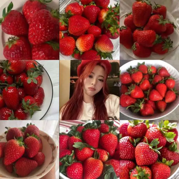 starberry & cake??? #yuna #yujin #ryujin #ryuna #2shin #itzy #ant_lava🥀🌹 #higotea_team☘️ #🏠❤dld_grp💞 #🐬dolphin_blue_team🐬 #gia_đình_lisa✨ #ilR🥀 #gal🕊 #riz❄️ #vlin✨ 