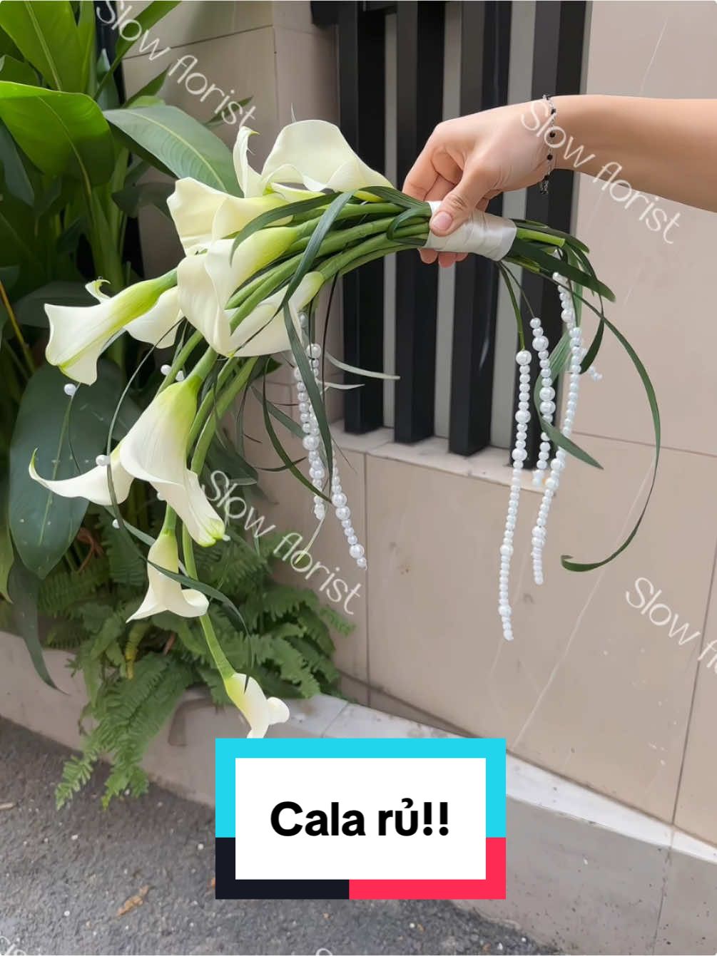 Bó cala rủ xinh đẹp!#slowflorist #hoa_cưới #hoa_cầm_tay_cô_dâu💐💐 #hoacầmtaycôdâu💐 #váycưới #hoacưới #wedding #hoa_cưới_cầm_tay_cô_dâu #hoa_tươi_cầm_tay_cô_dâu #hoacuoi #côdâu 