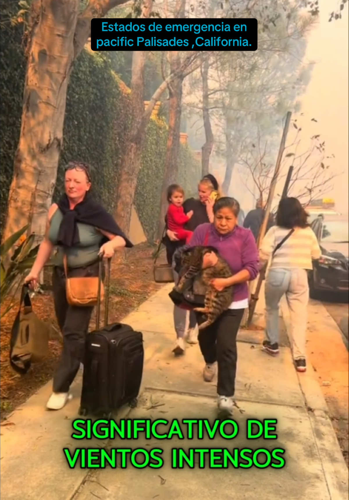 El gobernador de California Gavin Newsom activó el estado de emergencia ante el avance del incendio forestal en Pacific Palisades,California. ##breakingnew##pacificpalisades##palisadescalifornia##losangeles##losangelescalifornia##fire##emergency##incendioenlosangeles ##california