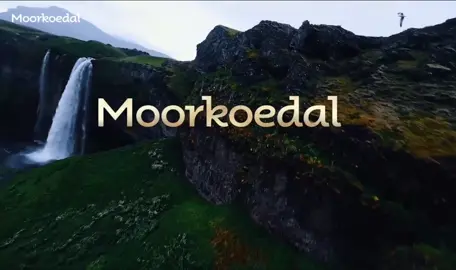 Moorkoedal diciptakan di selandia baru,dengan konsep”nutrisi presisi”,berkomitmen untuk mengawal setiap anggota keluarga di seluruh dunia #moorkoedal 