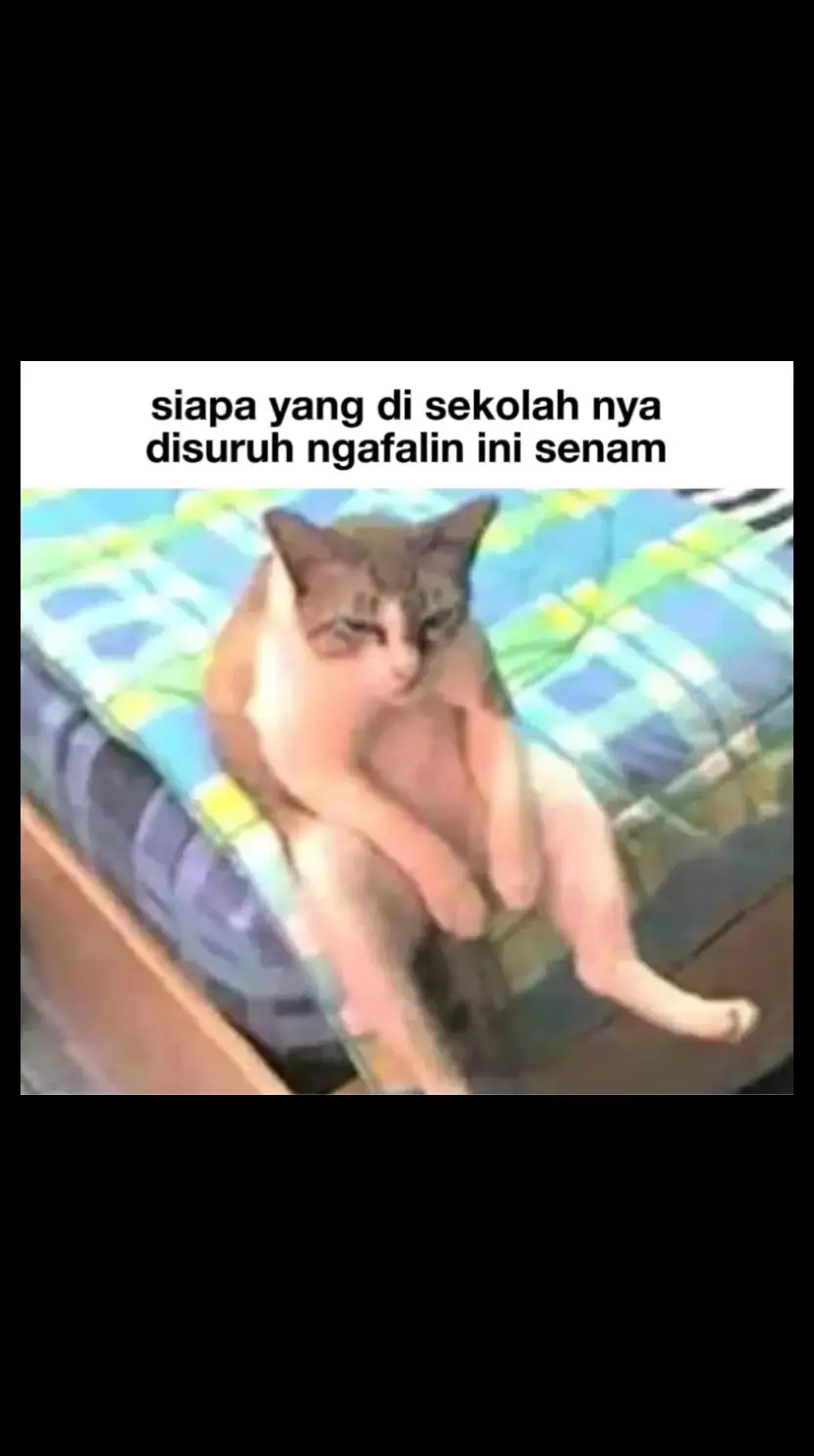 #meme #memes #fypage #4u #senamanakindknesiahebat 